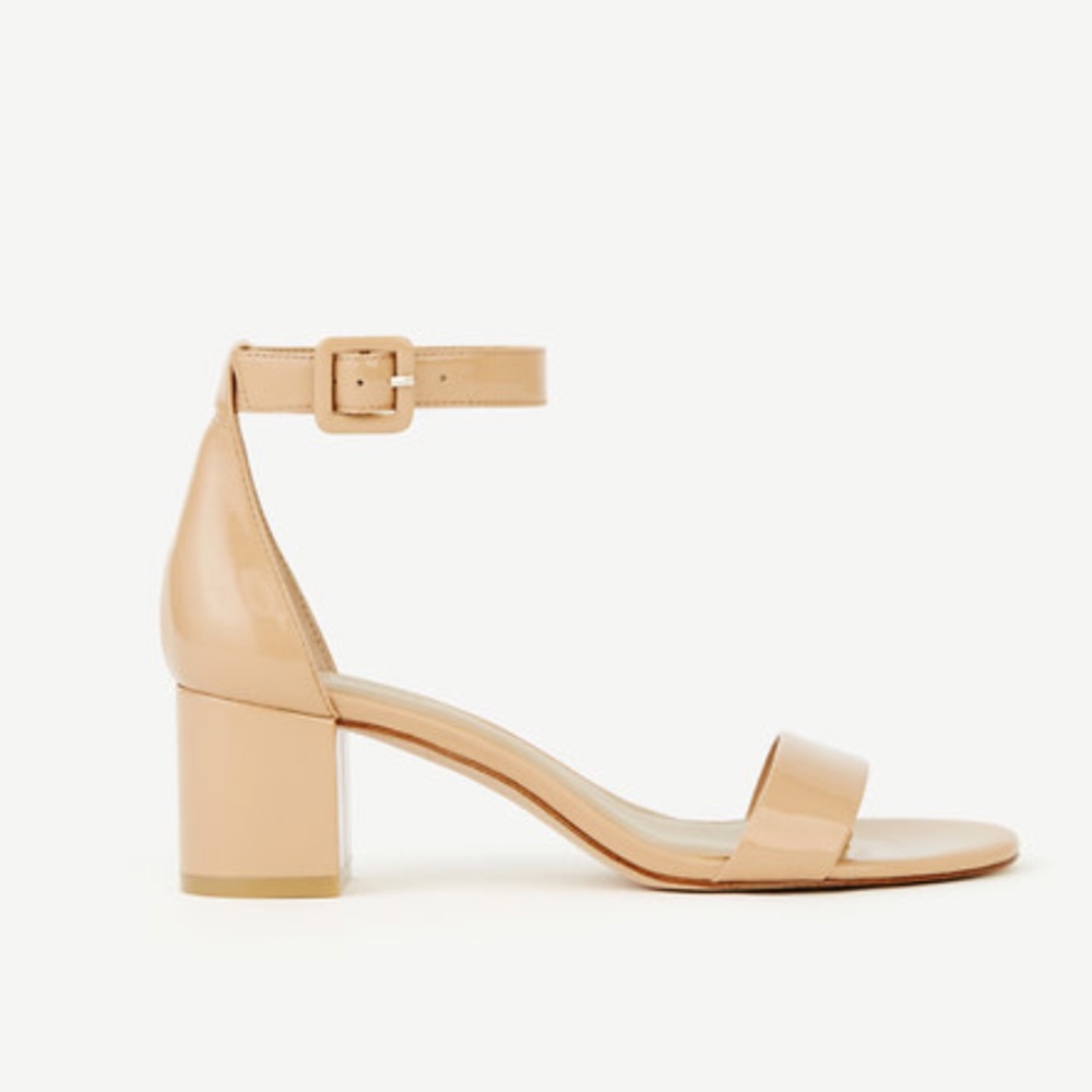 Ann Taylor Block Heel Sandals Ankle Strap Sz 9